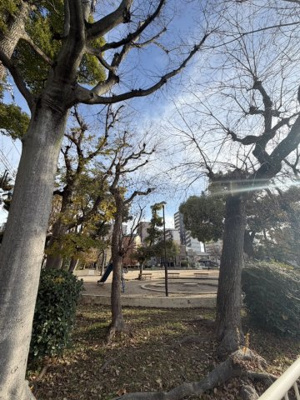 【周辺】 | カワキタプラザ
