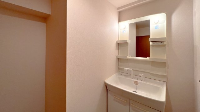 シティパル山王台の洗面所