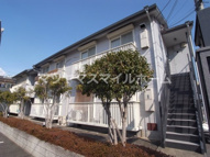 フラット・タームーの画像