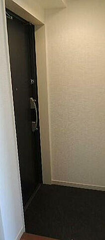 台東区北上野２丁目の賃貸マンションの玄関