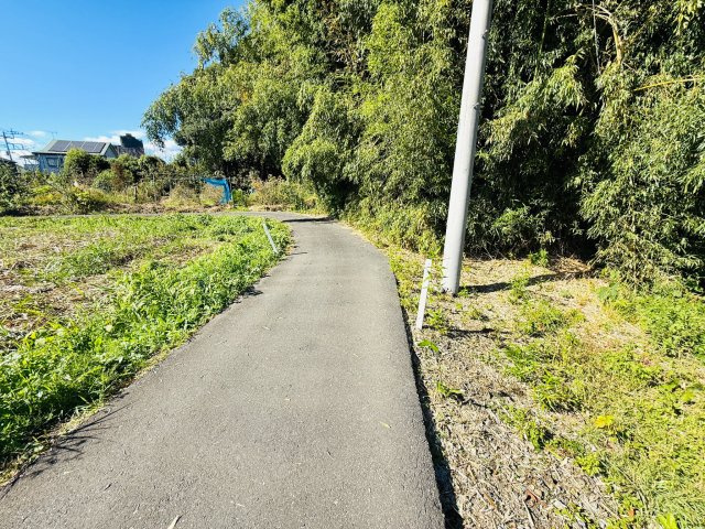 東松山市市ノ川　土地119坪の前面道路含む現地写真|道路