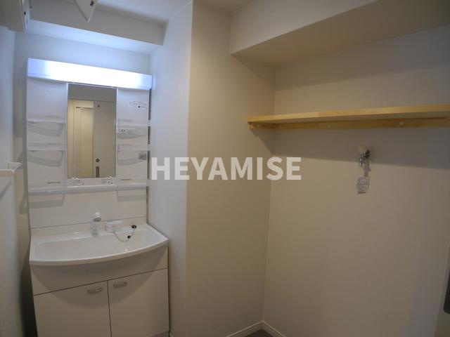 ヴィオラ矢上の洗面所