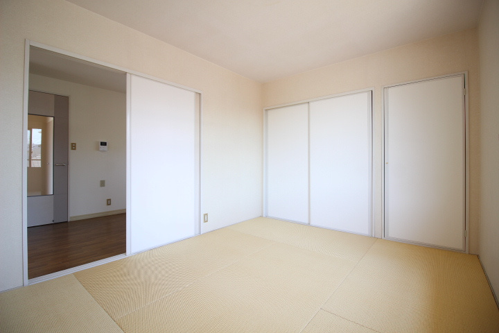 ディアスリバーサイドC棟の和室