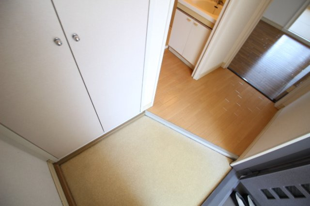 ディアスリバーサイドC棟の玄関