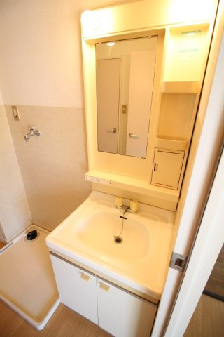 ディアスリバーサイドC棟の独立洗面台