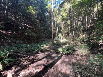 【外観】 | いすみ市下布施