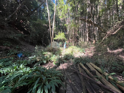 【外観】 | いすみ市下布施