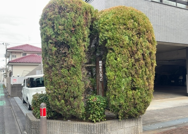 【中庭】 | ロアーブル・ガーデン淵野辺 | 中庭（パティオ）とは、一つの建築物の内部に設けられた、壁などで囲われている庭のことを指します。コの字型、ロの字型が主流ですが、L字型の中庭もあります。最近では、インテリア性の高さからも人気があります。