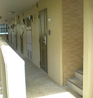 【その他】 | オリーブ