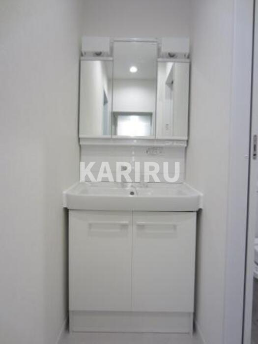 ビーバーズハウスⅢの洗面所