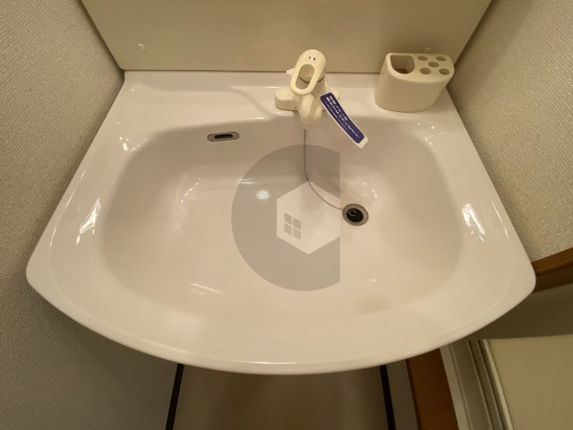 エスティーム1番館の洗面所