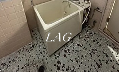 【浴室】 | ニュー番衆ビル | お風呂です。