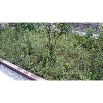 【展望】 | ラヴィベール