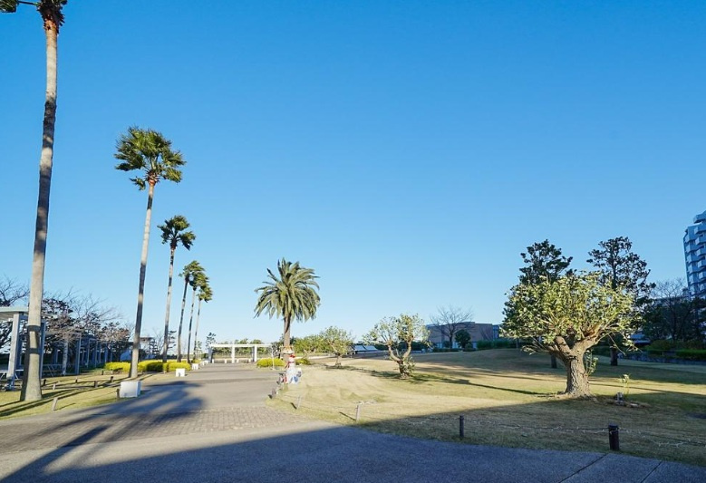 シーガーデン新浦安　E棟