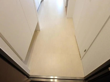 豊島区巣鴨３丁目の賃貸マンションの玄関