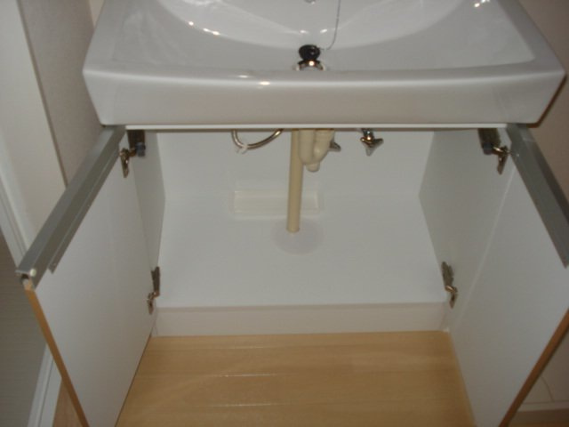 ＣｈａｍｐｓＤｏｒｅｓ（シャンドーレ）の洗面所|シャンプードレッサー収納(イメージ)