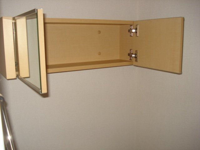 ＣｈａｍｐｓＤｏｒｅｓ（シャンドーレ）の収納|ＷＣ収納(イメージ)