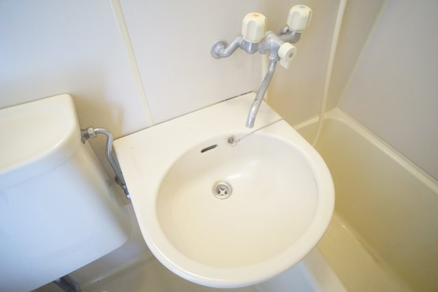 ジュネス・Ｎの洗面所