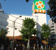ライフ新大塚店