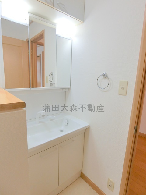 南雪谷ガーデンの洗面所