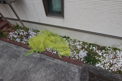 【その他共用部分】 | GMヒルズ深井 | ゴミ置き場