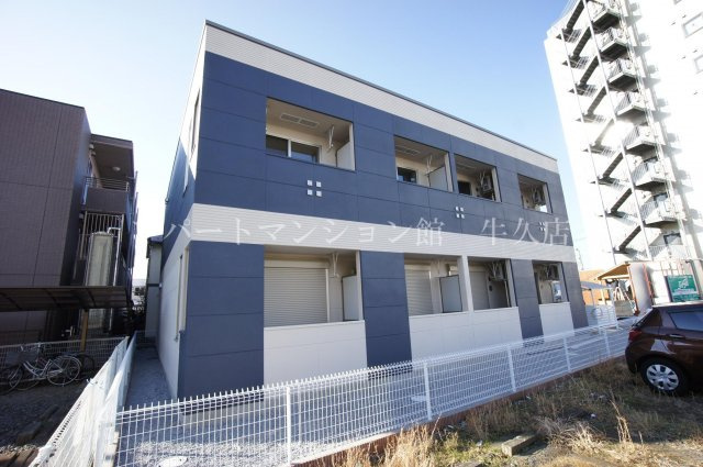 Ｂｏａ　ｓｏｒｔｅ（ぼあ　そるて） 　