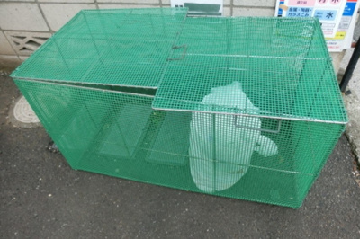 【その他共用部分】 | カトルセゾン