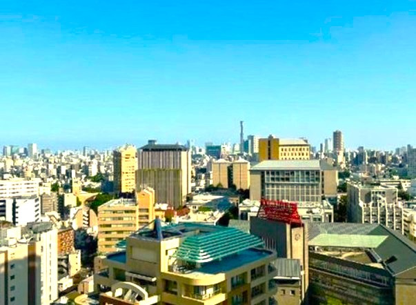 西早稲田シティタワーの展望