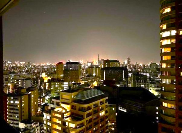 西早稲田シティタワーの展望