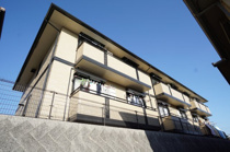 サンフローラEの画像