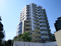 コラム神泉の画像