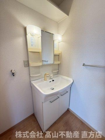 エスポワールT・S D棟の洗面所