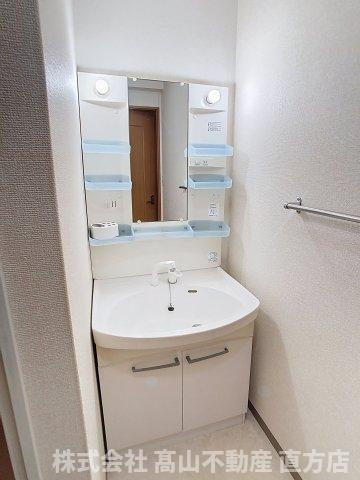 ロワイヤルT・NⅡの洗面所