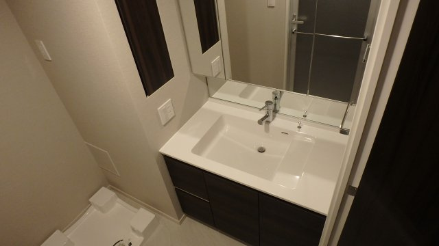 シティテラス文京小石川の洗面所