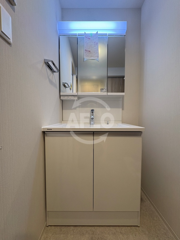 スプランディッド天王寺SOUTH　南百済小学校区の独立洗面台|スプランディッド駒川中野駅前　独立洗面台