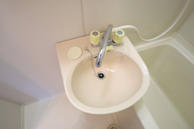 サンライズカワムラの洗面所