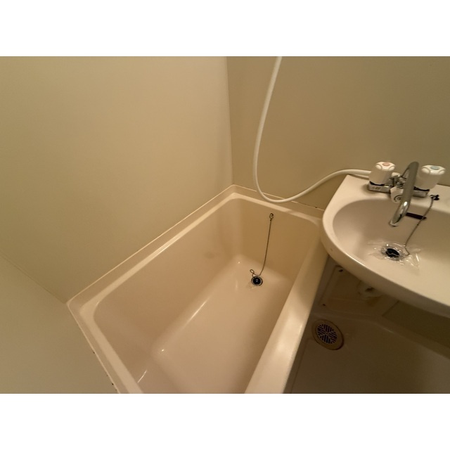 ガザニアの浴室