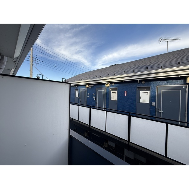 ガザニアのその他