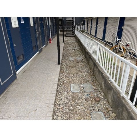 ガザニアのその他