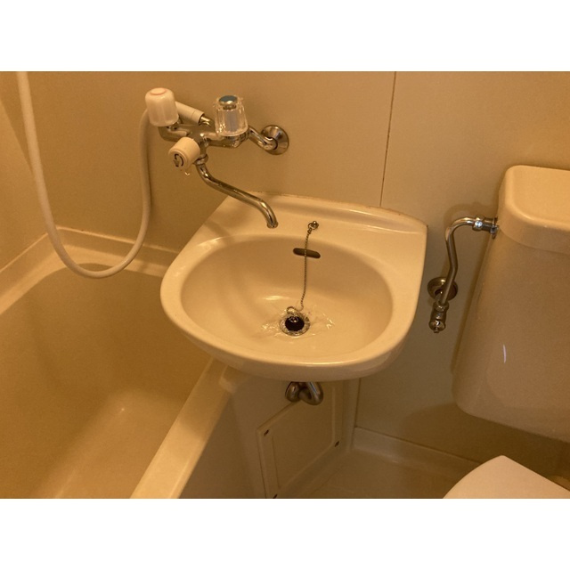 マートルAの洗面所