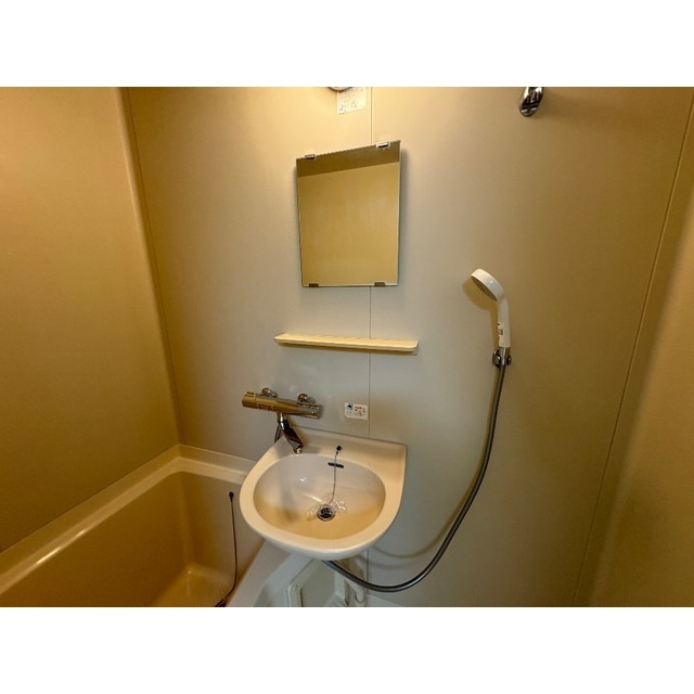 リブレス本庄の洗面所