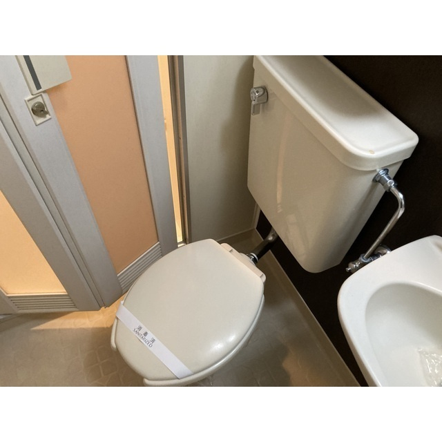 サルーテ熊谷の洗面所