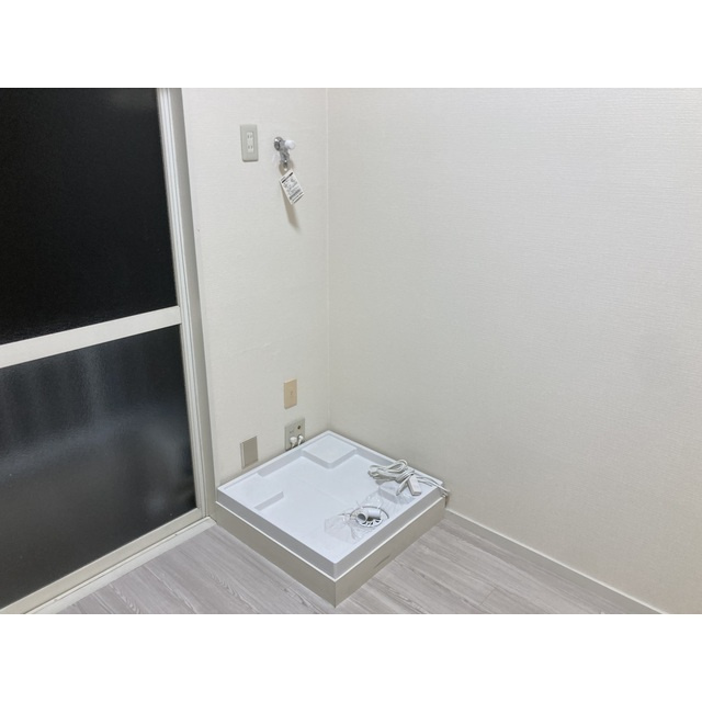 トレニアのその他