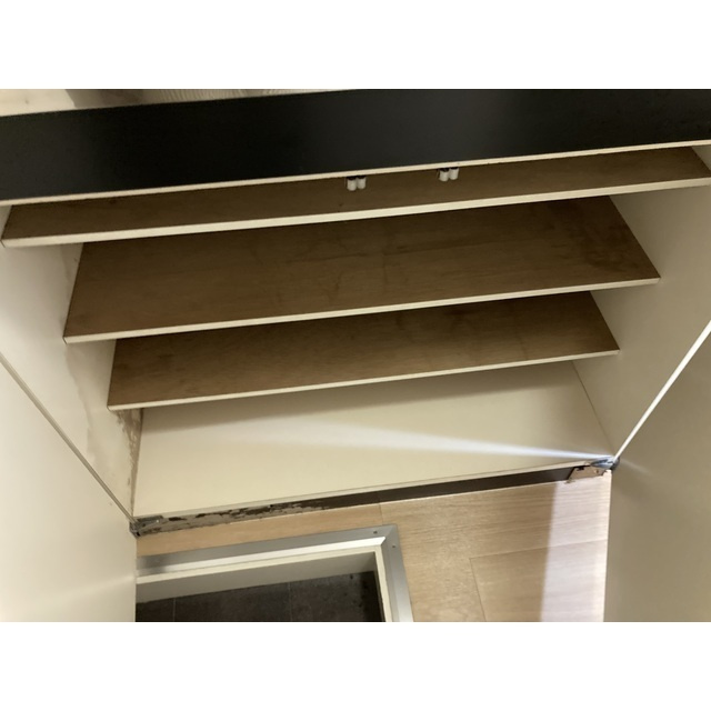 トレニアのバルコニー