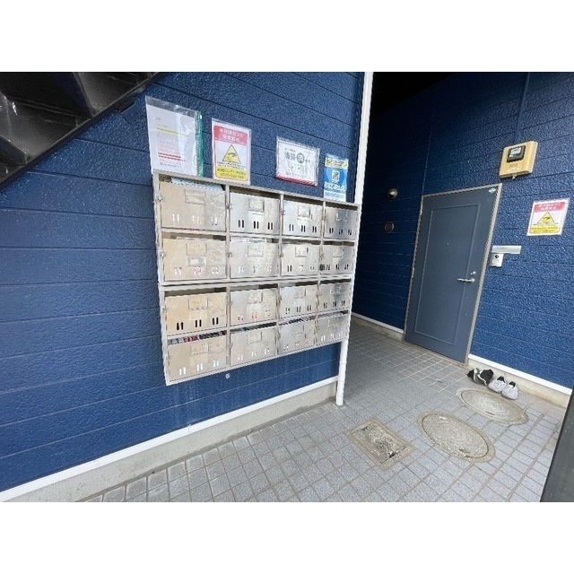 トレニアのその他