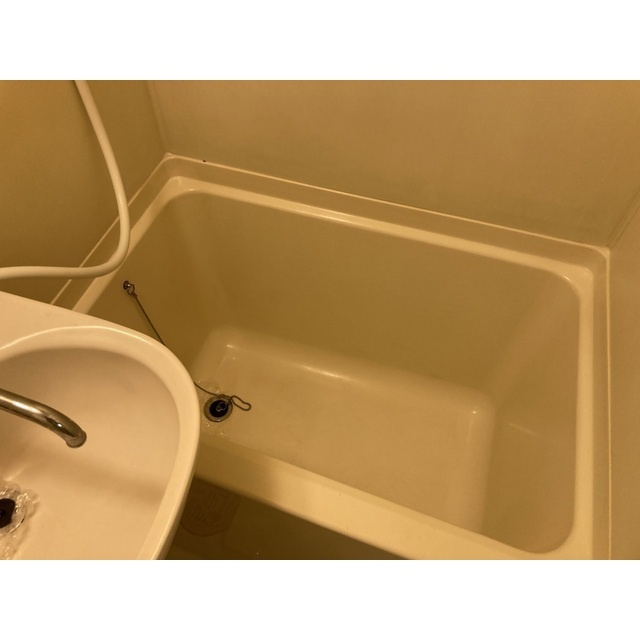 トレニアのキッチン