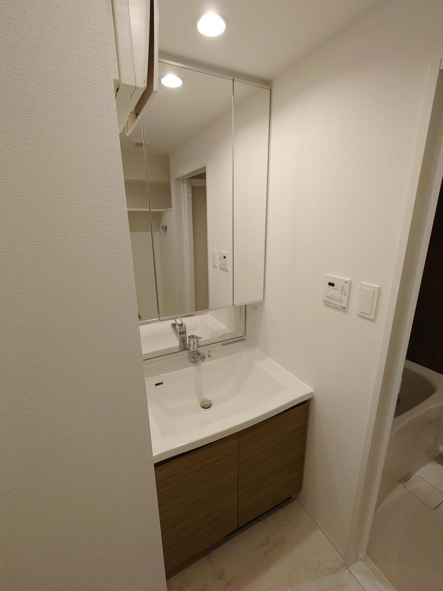 メイクス東向島Ⅱの洗面所