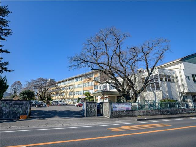 宇都宮市宝木本町　248.36㎡　売地の周辺|宇都宮市立国本中学校まで480m