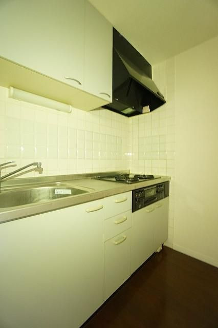 レジデンシャルヒルズヴィラスタイルのキッチン