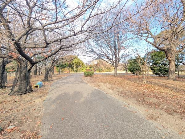 【前面道路含む現地写真】 | 元気なお子様のお外遊びも、公園が近くにあれば安心！